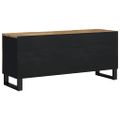 vidaXL TV skrinka 105x33,5x46 cm masívny mangovník a spracované drevo