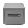 Trezor G21 na odtlačok prsta 380 x 310 x 300 mm