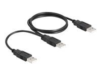 Kábel USB - USB (M) do USB (M) - USB 2.0 - 70 cm - čierna