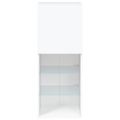 vidaXL TV skrinka s LED svetlami biela 40,5x30x102 cm