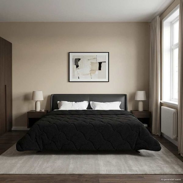 vidaXL Letná prikrývka Čierna 220 x 260 cm Mikrofáza a Teddy fleece