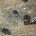 AK Interactive: Terrains - Dry Ground