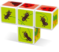 Magicube Insects 4 diely