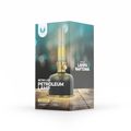 Retro petrolejová LED lampa čierna FLR-25 Forever Light