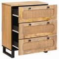 vidaXL Servírovacia skriňa 60 x 33 x 75 cm Masívne mango drevo Hnedá