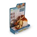 Krab s ulitou 10 cm