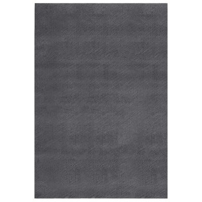 vidaXL Prateľný koberec, huňatý, krátky vlas 200x290 cm, protišmykový