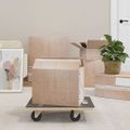 vidaXL Transportné vozíky 2 ks, obdĺžnikové 50x35x11,5 cm 250 kg