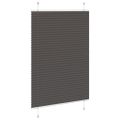 vidaXL plisovaná roleta čierna 100x150 cm Šírka látky 99,4 cm