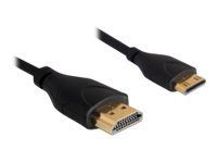 Kábel HDMI s ethernetom - HDMI samec na 19-pinový mini HDMI typ C samec - 1 m
