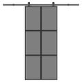 vidaXL Posuvné dvere s kovaním tvrdené sklo a hliník úzke 90x205 cm