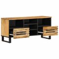vidaXL TV skrinka 100x34x46 cm, surový mangový masív