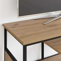 vidaXL TV skrinka 100 x 35 x 45 cm Remeselný dub