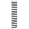 vidaXL Zebra roleta tmavošedá 55x200 cm šírka látky 50,9 cm polyester