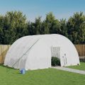 vidaXL Skleník s oceľovým rámom biely 24 m² 6x4x2,85 m