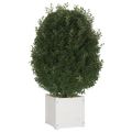 vidaXL Záhradné kvetináče 2 ks biele 40x40x40 cm borovicový masív