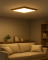 LED stropní 3CCT svítidlo TR-94S - 40W 4300lm 50x50x2,5cm Trixline