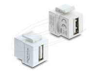 Delock Mini Keystone Module Coupler USB