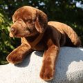 Veľký plyšový pes labrador s postrojom 61 cm ECO-FRIENDLY