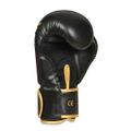 Boxerské rukavice DBX BUSHIDO B-2v17 16 oz