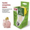 LED žiarovka Filament A60 / E27 / 5 W (75 W) / 1 060 lm / teplá biela