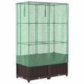 vidaXL Záhon s krytom na skleník ratanový vzhľad 80x40x138 cm