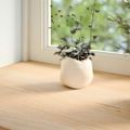 vidaXL Okenný parapet 2 ks 120x30x2 cm neošetrený dubový masív