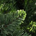 vidaXL Umelý vianočný stromček s borovicovými šiškami zelený 210 cm