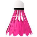 Badmintonové loptičky NILS NBL6216 multicolor 6 ks