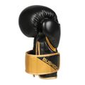 Boxerské rukavice DBX BUSHIDO B-2v10 16 oz