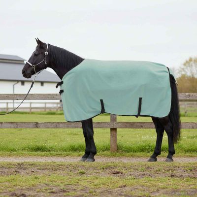 vidaXL Plášť pre kone Špeciálna zelená 75 cm Polyester