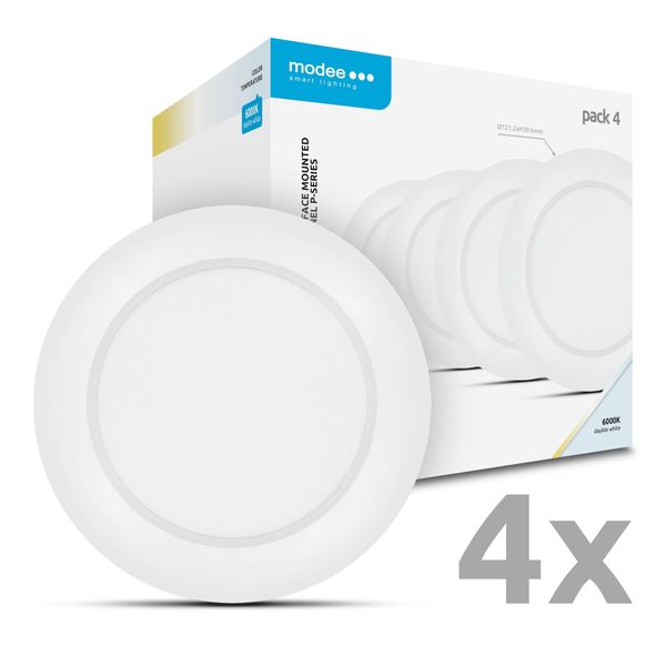 Modee LED Okrúhly LED panel - montovateľný 6W 660lm studená biela P4 (ML-LPR6000K6WPN)