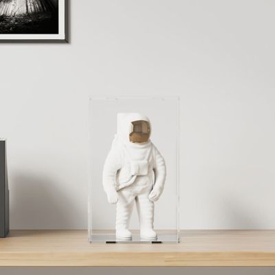 vidaXL Priehľadná reklamná krabica 22x18x35 cm akrylová