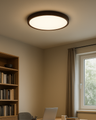 LED stropní 3CCT svítidlo TR-81S - 32W 3400lm ø40x2,5cm Trixline