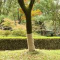 vidaXL Valec z juty 1x25 m 100 % juta 200 gsm