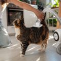 TESLA PetCare Station TQ500 Pro - sada pro péči o srst domácích mazlíčků
