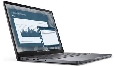 Dell Pro 14/PC14250/3-100U/14''/WUXGA/8GB/512GB/Intel int/W11P/Gray/3R NBD