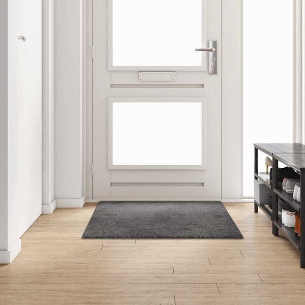 vidaXL Behúň koberec Sivá 100 x 150 cm 100% Polypropylén Tuft