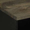 vidaXL TV skrinka, čierna 100x33x46 cm, mangový masív