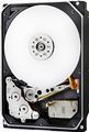 Western Digital Ultrastar® HDD 12TB (HUH721212ALE604) DC HC520 3.5in 26.1MM 256MB 7200RPM SATA 512E SE (GOLD WD121KRYZ)