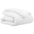 vidaXL 2-v-1 Prikrývka 220 x 200 x 10 cm Zima Polyester Biela