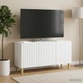 vidaXL TV skrinka Biela 99 x 34,5 x 50 cm Kompozitné drevo