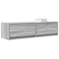 vidaXL TV skrinka 100 x 31 x 25,5 cm Sivý dub sonoma Kompozitné drevo