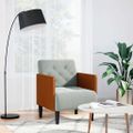 vidaXL Rozkladacia pohovka s podrúčkami, svetlosivá, 55 cm, zamatová