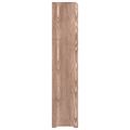 vidaXL Regál na topánky hnedý 65x24x117 cm spracované drevo
