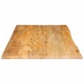 vidaXL Stolová doska živá hrana 100x60x2,5 cm masívne mango