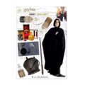 Sada magnetiek Harry Potter - Severus Snape (8 ks)