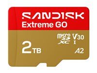 SanDisk Extreme Go - Pametová karta flash - 2 TB - A2 / Video Class V30 / UHS-I U1 - microSDHC UHS-I