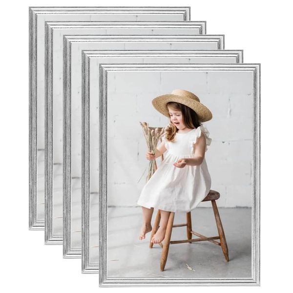 vidaXL Fotorámiky na stenu alebo stôl 5 ks strieborné 29,7x42 cm