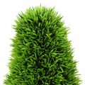 vidaXL Umelý borovica Zelená 24 x 24 x 90 cm Plast